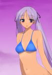  bikini blue_eyes kusaka kusaka_souji purple_hair swimsuit tan tsurara tsurara_(baby_princess) twintails 