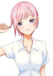  1girl bangs blue_eyes blush breasts collarbone commentary_request go-toubun_no_hanayome hair_between_eyes large_breasts looking_at_viewer nakano_ichika pink_hair shirt short_hair short_sleeves simple_background smile solo toffee_paint white_background 