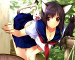  animal_ears bent_over cat cat_ears catgirl iizuki_tasuku red_eyes school_uniform short_hair tail wallpaper 