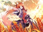  brown_hair holo red_eyes shino_(artist) shino_(eefy) spice_and_wolf tail wallpaper wheat wolf_ears 