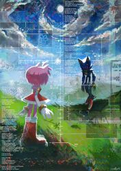  1boy 1girl abstract_background amy_rose armor black_sclera blue_armor boots bracelet claws clouds colored_sclera coordinates dress english_commentary english_text flower from_behind furry furry_female gloves gold_bracelet grass hedgehog_girl highres jewelry joints metal_sonic pink_fur pink_hair red_dress red_eyes red_shoes robot robot_joints shoes signature sleeveless sleeveless_dress sonic_(series) wellspkd white_gloves 