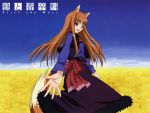   holo spice_and_wolf tagme  