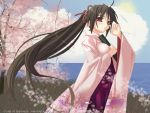 cherry_blossoms japanese_clothes kimono ninozen signed talisman tears 