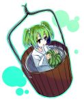  bucket_of_water food fruit girl_in_bucket gochou_(comedia80) green_hair holding holding_fruit in_bucket in_container kisume touhou watermelon 