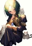  1boy blue_eyes cat fire_emblem fire_emblem:_three_houses garreg_mach_monastery_uniform green_hair linhardt_von_hevring long_hair low_ponytail mura_karuki sitting solo uniform white_background 