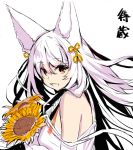  1girl :d animal_ear_fluff animal_ears bangs bare_shoulders dress eyebrows_visible_through_hair floating_hair flower fox_ears hair_between_eyes hair_ornament long_hair off-shoulder_dress off_shoulder open_mouth orange_flower original red_eyes simple_background smile solo sunflower translated very_long_hair white_background white_dress white_hair yuuji_(yukimimi) 