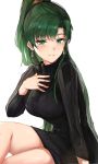  1girl bangs black_sweater blush breasts closed_mouth cute dress earrings eyebrows_visible_through_hair fire_emblem fire_emblem:_rekka_no_ken fire_emblem:_the_blazing_blade fire_emblem_blazing_sword green_eyes green_hair hand_on_own_chest hand_up highres intelligent_systems jewelry lips long_hair long_sleeves looking_at_viewer lyn_(fire_emblem) lyndis_(fire_emblem) medium_breasts nintendo ormille ponytail shiny shiny_hair shiny_skin simple_background sitting solo super_smash_bros. sweater sweater_dress tied_hair turtleneck white_background 