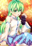  1girl autumn autumn_leaves bench blue_skirt blurry commentary_request day depth_of_field detached_sleeves eyebrows_visible_through_hair feet_out_of_frame food frog_hair_ornament fruit grapes green_eyes green_hair hair_between_eyes hair_ornament highres holding holding_food holding_fruit kochiya_sanae leaf long_hair looking_at_viewer maple_leaf open_mouth outdoors rizuyuki single_sidelock sitting skirt solo touhou very_long_hair vest white_vest 