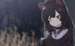  1girl animal_ears bangs black_collar black_hair black_kimono blurry blurry_background brown_eyes closed_mouth collar commentary_request depth_of_field dog_ears dog_hair_ornament eyebrows_visible_through_hair flower hair_flower hair_ornament heterochromia inui_toko japanese_clothes kimono long_hair long_sleeves looking_at_viewer low_twintails natsuki_teru nijisanji red_flower sleeves_past_fingers sleeves_past_wrists solo twintails upper_body virtual_youtuber 