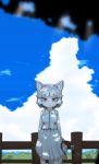  1girl absurdres alternate_costume animal_ear_fluff animal_ears arms_at_sides bare_arms blue_eyes blue_sky closed_mouth clouds collared_shirt commentary_request dappled_sunlight day dog_(mixed_breed)_(kemono_friends) dog_ears dog_tail feet_out_of_frame fence grey_hair heterochromia highres holding kemono_friends looking_at_viewer medium_skirt multicolored_hair onaji_(sokudo_seigen) outdoors shirt short_hair skirt sky sleeveless sleeveless_shirt smile solo standing sunlight tail two-tone_hair white_hair wing_collar wooden_fence yellow_eyes 