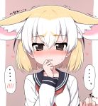  ... 1girl alternate_costume animal_ear_fluff animal_ears bangs blonde_hair blush brown_eyes collarbone contemporary ears_down extra_ears eyebrows_visible_through_hair fennec_(kemono_friends) flustered fox_ears hair_between_eyes hand_to_own_mouth heart holding_hands interlocked_fingers kemono_friends long_sleeves looking_at_viewer multicolored_hair neckerchief nose_blush parted_lips pink_background pov pov_hands ransusan red_neckwear sailor_collar school_uniform serafuku short_hair simple_background solo_focus speech_bubble spoken_blush spoken_ellipsis sweatdrop sweater translated trembling two-tone_hair upper_body white_hair white_sweater 