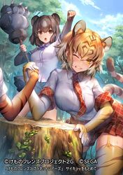  3girls animal_ears animal_print arm_wrestling bear_ears bear_paw_hammer blonde_hair blue_neckwear blush bow bowtie brown_bear_(kemono_friends) brown_eyes brown_gloves brown_hair brown_skirt clenched_teeth collared_shirt commentary_request elbow_gloves extra_ears eyebrows_visible_through_hair fingerless_gloves fist_pump gloves kemono_friends kemono_friends_3 multicolored multiple_girls necktie official_art one_eye_closed plaid plaid_neckwear plaid_skirt plaid_trim pleated_skirt print_gloves print_legwear shirt short_hair short_sleeves shorts shorts_under_skirt siberian_tiger_(kemono_friends) skirt sweatdrop tail teeth thigh-highs tiger_(kemono_friends) tiger_ears tiger_print tiger_tail ueo04 white_hair white_shirt yellow_eyes zettai_ryouiki 