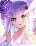 1girl apple_caramel backlighting bangs blush breasts collarbone commentary eyebrows_visible_through_hair facial_mark flower girls_frontline green_eyes hair_ornament head_tilt highres hk416_(girls_frontline) long_hair looking_at_viewer parted_lips partially_submerged purple_flower revision silver_hair small_breasts solo upper_body upper_teeth water wet wisteria 