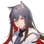  1girl animal_ear_fluff animal_ears arknights bangs black_hair black_shirt brown_hair cat_ears eyebrows_behind_hair food food_in_mouth hair_between_eyes heart heart_necklace highres hood hood_down hooded_jacket hua_ye jacket long_hair looking_at_viewer mouth_hold multicolored_hair open_clothes open_jacket orange_hair parted_lips pocky redhead shirt simple_background solo texas_(arknights) two-tone_hair upper_body white_background white_jacket 