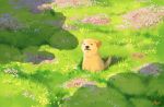  :3 ^_^ animal closed_eyes closed_mouth day dliok dog field flower grass happy highres no_humans original outdoors scenery shadow signature sitting smile solo sunlight |3 