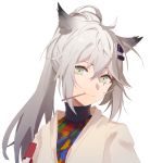  1girl animal_ear_fluff animal_ears arknights bangs black_shirt closed_mouth eyebrows_visible_through_hair food food_in_mouth green_eyes grey_hair hair_between_eyes hair_ornament hairclip high_ponytail highres hua_ye jacket lappland_(arknights) long_hair looking_at_viewer mouth_hold open_clothes open_jacket pocky ponytail scar scar_across_eye shirt smile solo upper_body white_jacket 