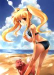  alph ass beach bikini blonde_hair brown_eyes cloud clouds dog fate_testarossa kouno_hikaru looking_back mahou_shoujo_lyrical_nanoha mahou_shoujo_lyrical_nanoha_a&#039;s mahou_shoujo_lyrical_nanoha_a's ocean sky swimsuit twintails 