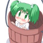  bucket geetsu girl_in_bucket green_eyes green_hair hair_bobbles hair_ornament in_bucket in_container kisume oekaki touhou twintails 