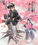  barefoot black_hair cherry_blossoms child doudanuki_masakuni faux_traditional_media from_below in_tree japanese_clothes male_focus mikazuki_munechika outstretched_hand pukun short_ponytail sitting sitting_in_tree thick_outlines touken_ranbu tree younger 
