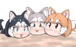  3girls :p animal_ears aqua_eyes bangs black_hair blue_eyes blush closed_mouth dog_(kemono_friends) dog_(mixed_breed)_(kemono_friends) dog_ears dog_tail eyebrows eyebrows_visible_through_hair grey_hair heterochromia kemono_friends looking_at_viewer medium_hair multicolored_hair multiple_girls nanachi orange_hair red_eyes siberian_husky_(kemono_friends) simple_background smile squish squishing table tail tongue tongue_out two-tone_hair white_background 