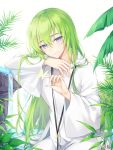  1other bangs closed_mouth commentary_request enkidu_(fate/strange_fake) eyebrows_visible_through_hair fate/strange_fake fate_(series) green_hair hair_between_eyes hood hood_down hooded_robe long_hair long_sleeves looking_at_viewer pong_(vndn124) robe signature smile solo very_long_hair violet_eyes water waterfall white_robe wide_sleeves 