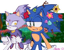  1boy 1girl animal_ears artist_name blaze_the_cat branch cat_ears cat_tail forehead_jewel fur-trimmed_gloves fur_trim furry furry_female furry_male gloves green_eyes highres looking_at_another messy_hair sonic_(series) sonic_rush sonic_the_hedgehog spidercheetos tail white_gloves yellow_eyes 