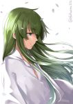  1girl closed_mouth ebifurya eyebrows_visible_through_hair green_eyes grey_eyes highres long_hair original simple_background smile solo twitter_username white_background wind wind_lift 