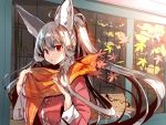  1girl animal_ear_fluff animal_ears autumn_leaves bangs brown_scarf commentary_request eyebrows_visible_through_hair fox_ears grey_hair hair_between_eyes hands_up high_ponytail jacket leaf long_hair long_sleeves looking_at_viewer maple_leaf original parted_lips ponytail red_eyes red_jacket scarf solo upper_body very_long_hair yuuji_(yukimimi) 