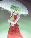  kazami_yuuka natsu_no_koucha parasol plaid plaid_skirt plaid_vest skirt skirt_set tartan touhou umbrella unmoving_pattern 