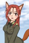  animal_ears minna-dietlinde_wilcke strike_witches tail 