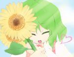  cloud flower green_hair happy heart hug kazami_yuuka pilky plaid_vest short_hair sunbeam sunflower sunlight touhou 