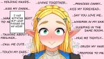  1girl absurdres blonde_hair blush braid commentary elf english_text forehead green_eyes hair_ornament hairclip hands_on_shoulders heavy_breathing highres link long_hair looking_at_viewer nose_blush pointy_ears pov princess_zelda sidelocks smile solo sweatdrop the_legend_of_zelda the_legend_of_zelda:_breath_of_the_wild the_legend_of_zelda:_breath_of_the_wild_2 the_only_shoe thick_eyebrows 