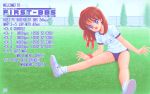  1991 1girl 90s :d ad bare_legs bbs blue_eyes brown_hair buruma chain-link_fence day dithering english_text engrish_text fence field fog full_body grass gym_uniform hair_ribbon leaning_forward long_hair looking_at_viewer open_mouth pc-98 pixel_art ranguage ribbon shoes signature sitting smile sneakers solo spread_legs sweatband telephone_number tree wristband 