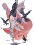  1boy balancing bird black_hair black_pants claude_fermat cloth crow hand_to_own_mouth handstand highres jewelry knife leenim looking_at_viewer lord_of_dice male_focus official_art open_clothes open_shirt pants red_eyes ribbon ring solo sweat wet wet_clothes 