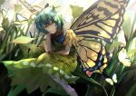  1girl absurdres antennae aqua_hair barefoot bug butterfly butterfly_wings dress eternity_larva flower green_dress head_on_hand highres insect leaf leaf_on_head otoshiro_kosame short_sleeves solo touhou wings yellow_eyes 