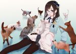  1girl animal bangs belt black_skirt blue_bow blue_jacket blue_neckwear blue_ribbon bow brown_eyes brown_hair brown_legwear cat commentary earrings feet_out_of_frame glasses gradient gradient_background hanabasami_kyou highres holding holding_animal holding_cat jacket jewelry long_hair long_sleeves looking_at_viewer morifumi neck_ribbon open_mouth pantyhose pleated_skirt re:act ribbon school_uniform shirt sitting sitting_on_floor skirt sleeves_past_wrists solo virtual_youtuber white_shirt white_skirt 
