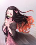  1girl asa_no_ha_(pattern) bit_gag black_hair cowboy_shot english_commentary gag gradient_hair grey_background hair_blowing hair_ribbon hands_on_own_chest haori japanese_clothes kamado_nezuko kimetsu_no_yaiba kimono korean_commentary light_particles long_hair looking_at_viewer mixed-language_commentary multicolored_hair pink_eyes pink_kimono pistachiocream redhead ribbon solo standing twitter_username very_long_hair 