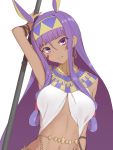  1girl animal_ears bangs blush breasts commentary_request dark_skin earrings elfenlied22 facial_mark fate/grand_order fate_(series) hairband highres holding hoop_earrings jackal_ears jewelry long_hair looking_at_viewer medium_breasts nitocris_(fate/grand_order) purple_hair sidelocks simple_background smile solo very_long_hair violet_eyes white_background 