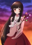 1girl bangs black_hair blunt_bangs branch bright_pupils clouds cloudy_sky commentary_request evening highres hime_cut houraisan_kaguya japanese_clothes jeweled_branch_of_hourai kimono long_hair long_sleeves looking_at_viewer outdoors parted_lips red_eyes sidelocks skirt sky solo standing straight_hair touhou tsukimirin white_pupils wide_sleeves