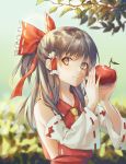  1girl apple ascot bangs bare_shoulders black_hair bow branch brown_eyes cha_chya collarbone commentary day detached_sleeves eyebrows_visible_through_hair food frilled_bow frilled_shirt_collar frills fruit hair_bow hair_tubes hakurei_reimu half_updo hands_up highres holding holding_food holding_fruit leaf lens_flare long_hair long_sleeves looking_at_viewer outdoors red_bow ribbon-trimmed_sleeves ribbon_trim sidelocks smile solo touhou upper_body wide_sleeves yellow_neckwear 
