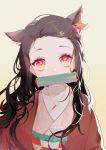  1girl animal_ears asa_no_ha_(pattern) bamboo bit_gag black_hair eyelashes gag hair_ribbon haori highres japanese_clothes kamado_nezuko kimetsu_no_yaiba kimono long_hair looking_at_viewer multicolored multicolored_eyes multicolored_hair obi pink_eyes redhead ribbon sash simple_background solo two-tone_hair upper_body white_background whiteshirt 