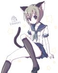  cat_ears kimarin kneehighs looking_at_viewer oekaki original school_uniform serafuku socks tail 