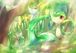  animal_focus closed_mouth evolutionary_line forest giovanni_(giogiofx0083) grass nature no_humans outdoors pokemon pokemon_(creature) pokemon_focus red_eyes serperior servine smile snake snivy tail tree 