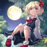  1girl arikanrobo ascot black_skirt black_vest blonde_hair closed_mouth collared_shirt commentary_request frilled_skirt frills full_moon hair_ribbon in_tree long_sleeves moon night night_sky red_eyes red_footwear red_neckwear red_ribbon ribbon rumia shirt shoes short_hair sitting sitting_in_tree skirt skirt_set sky smile socks solo star_(sky) starry_sky touhou touhou_cannonball tree vest white_legwear white_shirt 