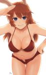  1girl absurdres animal_ears azu_(yamahasu1245) bent_over bikini bikini_shorts blue_eyes blush breasts brown_hair charlotte_e_yeager collarbone eyebrows_visible_through_hair hand_on_hip highres large_breasts long_hair looking_at_viewer navel open_clothes open_shorts parted_lips rabbit_ears red_bikini red_shorts shiny shiny_hair shiny_skin shorts simple_background smile solo strike_witches swimsuit swimwear teeth white_background world_witches_series 