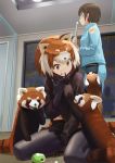  2girls apple autism_wanderer black_gloves black_legwear black_neckwear blue_pants blue_shirt bow bowtie brown_eyes brown_hair commentary_request crumbs elbow_gloves eyebrows_visible_through_hair food fruit fur_collar gloves highres japari_symbol kemono_friends lesser_panda_(kemono_friends) long_sleeves multicolored_hair multiple_girls orange_hair original pants pantyhose red_panda red_panda_ears red_panda_tail shirt short_hair short_shorts short_sleeves shorts sitting uniform white_hair 