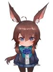  +_+ 1girl ahoge amiya_(arknights) animal_ear_fluff animal_ears arknights ascot bangs blue_eyes blue_jacket blue_neckwear blue_skirt blush brown_hair brown_legwear chibi closed_mouth commentary_request dokomon eyebrows_visible_through_hair hair_between_eyes highres jacket korean_commentary long_hair long_sleeves looking_at_viewer open_clothes open_jacket pantyhose pleated_skirt ponytail rabbit_ears shirt sidelocks simple_background skirt solo very_long_hair white_background white_shirt 