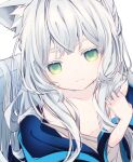  1girl animal_ears arknights blush breasts cat_ears commentary commentary_request green_eyes grey_hair highres hk_nnm jacket long_hair looking_at_viewer portrait rosmontis_(arknights) simple_background small_breasts smile solo white_background 