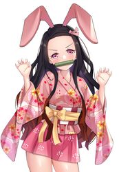  1girl adapted_costume animal_ears asymmetrical_bangs bamboo bangs bit_gag black_hair blackheartxiii blush bow breasts brown_hair checkered_obi cowboy_shot fake_animal_ears floral_print forehead gag gradient_hair hair_ribbon highres japanese_clothes kamado_nezuko kimetsu_no_yaiba kimono long_hair long_sleeves looking_at_viewer multicolored_hair parted_bangs pink_eyes pink_kimono rabbit_ears ribbon short_kimono simple_background small_breasts solo straight_hair sweat thighs two-tone_hair white_background wide_sleeves 