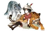  1girl animal_ears backpack backpack_removed bag black_gloves black_hair black_legwear blue_eyes brown_footwear cat_on_lap commentary_request eyebrows_visible_through_hair gloves grey_wolf hat_feather helmet heterochromia highres jaguar jaguar_ears jaguar_print jaguar_tail kaban_(kemono_friends) kemono_friends legwear_under_shorts loafers otter otter_tail pantyhose pith_helmet red_shirt serval serval_ears serval_print serval_tail seto_(harunadragon) shirt shoes short_hair short_sleeves shorts sitting solo t-shirt tail wolf_ears wolf_tail yellow_eyes 